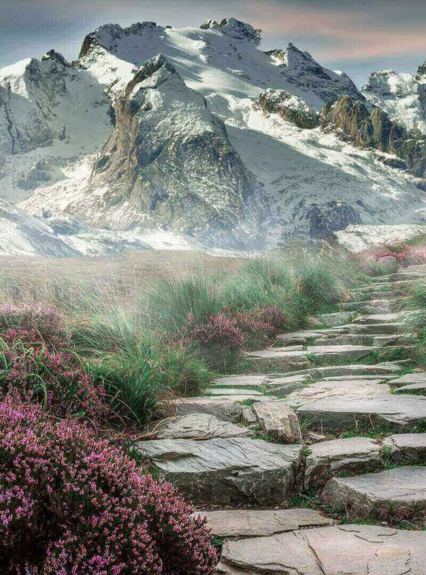 a stone path with flowers and mountains in the background