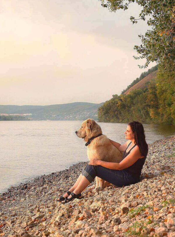 a person sitting on a rocky beach with a dog